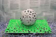 Scheissfussball ein Kunstobjekt von Martin Gut, 2008.