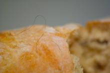 Brot des Ekels, ein Kunstobjekt von Martin Gut, 2010