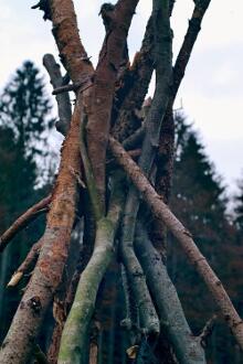 Sixteen Upside-Down Trees and Three Squares, landscape art by Martin Gut on Noseland, 2014