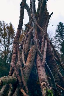 Sixteen Upside-Down Trees and Three Squares, landscape art by Martin Gut on Noseland, 2014