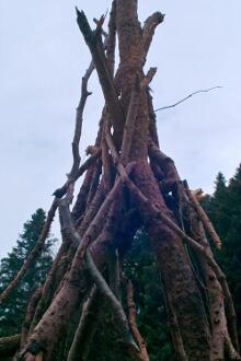 Sechzehn verkehrte Bäume und drei Vierecke, Landart von Martin Gut auf Noseland, 2014