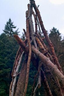 Sixteen Upside-Down Trees and Three Squares, landscape art by Martin Gut on Noseland, 2014