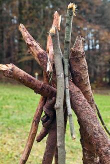 Sixteen Upside-Down Trees and Three Squares, landscape art by Martin Gut on Noseland, 2014