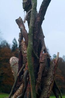 Sechzehn verkehrte Bäume und drei Vierecke, Landart von Martin Gut auf Noseland, 2014