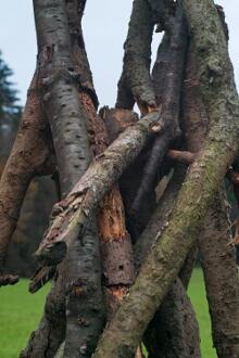 Sixteen Upside-Down Trees and Three Squares, landscape art by Martin Gut on Noseland, 2014