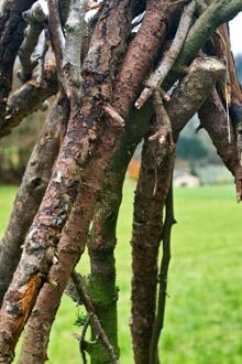 Sixteen Upside-Down Trees and Three Squares, landscape art by Martin Gut on Noseland, 2014