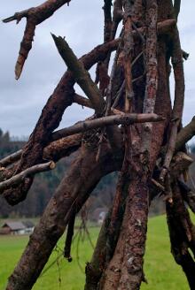 Sixteen Upside-Down Trees and Three Squares, landscape art by Martin Gut on Noseland, 2014