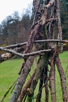 Sixteen Upside-Down Trees and Three Squares, landscape art by Martin Gut on Noseland, 2014