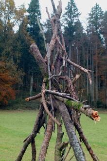 Sechzehn verkehrte Bäume und drei Vierecke, Landart von Martin Gut auf Noseland, 2014