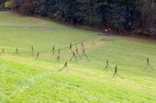 Sechzehn verkehrte Bäume und drei Vierecke, Landart von Martin Gut auf Noseland, 2014