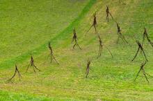 Sechzehn verkehrte Bäume und drei Vierecke, Landart von Martin Gut auf Noseland, 2014