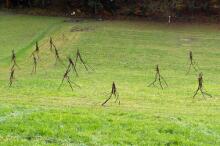 Sechzehn verkehrte Bäume und drei Vierecke, Landart von Martin Gut auf Noseland, 2014