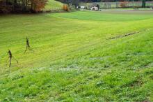 Sixteen Upside-Down Trees and Three Squares, landscape art by Martin Gut on Noseland, 2014