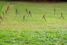 Sechzehn verkehrte Bäume und drei Vierecke, Landart von Martin Gut auf Noseland, 2014