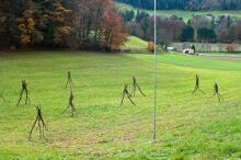 Sechzehn verkehrte Bäume und drei Vierecke, Landart von Martin Gut auf Noseland, 2014