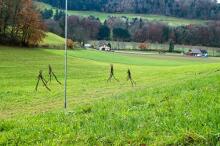 Sechzehn verkehrte Bäume und drei Vierecke, Landart von Martin Gut auf Noseland, 2014