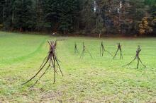 Sixteen Upside-Down Trees and Three Squares, landscape art by Martin Gut on Noseland, 2014