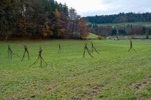 Sechzehn verkehrte Bäume und drei Vierecke, Landart von Martin Gut auf Noseland, 2014