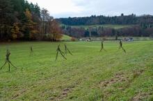 Sechzehn verkehrte Bäume und drei Vierecke, Landart von Martin Gut auf Noseland, 2014