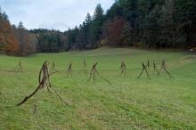 Sechzehn verkehrte Bäume und drei Vierecke, Landart von Martin Gut auf Noseland, 2014