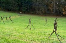 Sechzehn verkehrte Bäume und drei Vierecke, Landart von Martin Gut auf Noseland, 2014