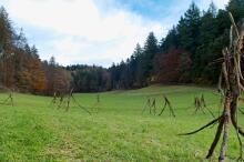 Sechzehn verkehrte Bäume und drei Vierecke, Landart von Martin Gut auf Noseland, 2014