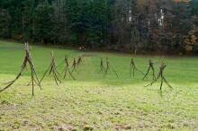 Sixteen Upside-Down Trees and Three Squares, landscape art by Martin Gut on Noseland, 2014