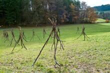 Sechzehn verkehrte Bäume und drei Vierecke, Landart von Martin Gut auf Noseland, 2014