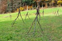 Sechzehn verkehrte Bäume und drei Vierecke, Landart von Martin Gut auf Noseland, 2014