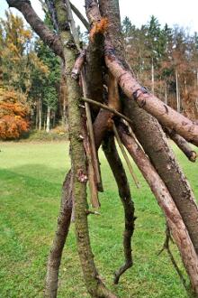 Sixteen Upside-Down Trees and Three Squares, landscape art by Martin Gut on Noseland, 2014