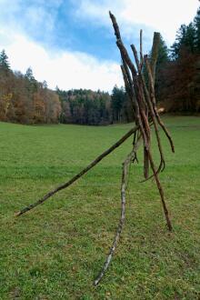 Sechzehn verkehrte Bäume und drei Vierecke, Landart von Martin Gut auf Noseland, 2014