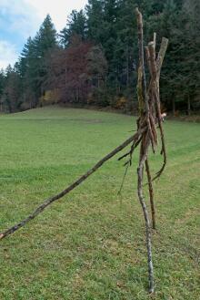 Sechzehn verkehrte Bäume und drei Vierecke, Landart von Martin Gut auf Noseland, 2014