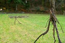 Sixteen Upside-Down Trees and Three Squares, landscape art by Martin Gut on Noseland, 2014