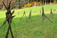 Sechzehn verkehrte Bäume und drei Vierecke, Landart von Martin Gut auf Noseland, 2014