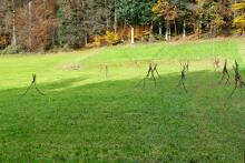 Sechzehn verkehrte Bäume und drei Vierecke, Landart von Martin Gut auf Noseland, 2014