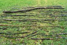 Sixteen Upside-Down Trees and Three Squares, landscape art by Martin Gut on Noseland, 2014