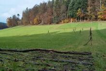 Sechzehn verkehrte Bäume und drei Vierecke, Landart von Martin Gut auf Noseland, 2014