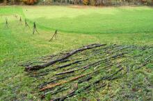 Sechzehn verkehrte Bäume und drei Vierecke, Landart von Martin Gut auf Noseland, 2014