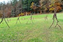 Sechzehn verkehrte Bäume und drei Vierecke, Landart von Martin Gut auf Noseland, 2014