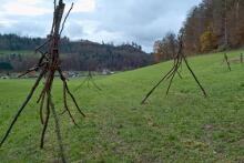 Sechzehn verkehrte Bäume und drei Vierecke, Landart von Martin Gut auf Noseland, 2014