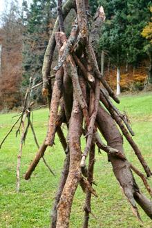 Sixteen Upside-Down Trees and Three Squares, landscape art by Martin Gut on Noseland, 2014