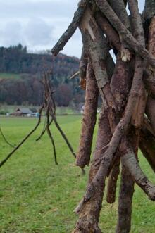 Sechzehn verkehrte Bäume und drei Vierecke, Landart von Martin Gut auf Noseland, 2014