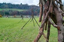 Sixteen Upside-Down Trees and Three Squares, landscape art by Martin Gut on Noseland, 2014