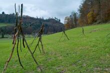 Sechzehn verkehrte Bäume und drei Vierecke, Landart von Martin Gut auf Noseland, 2014