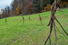 Sechzehn verkehrte Bäume und drei Vierecke, Landart von Martin Gut auf Noseland, 2014