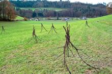 Sechzehn verkehrte Bäume und drei Vierecke, Landart von Martin Gut auf Noseland, 2014