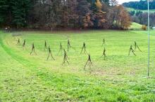 Sechzehn verkehrte Bäume und drei Vierecke, Landart von Martin Gut auf Noseland, 2014