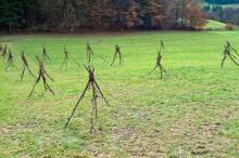 Sechzehn verkehrte Bäume und drei Vierecke, Landart von Martin Gut auf Noseland, 2014