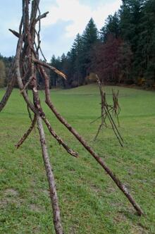 Sechzehn verkehrte Bäume und drei Vierecke, Landart von Martin Gut auf Noseland, 2014