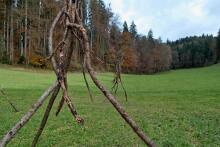 Sechzehn verkehrte Bäume und drei Vierecke, Landart von Martin Gut auf Noseland, 2014